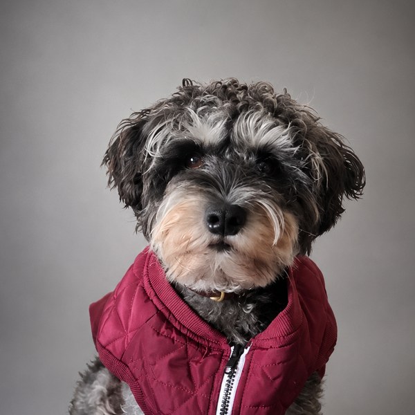 Milo